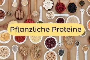 Pflanzliche Proteine