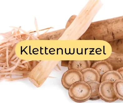 Klettenwurzel